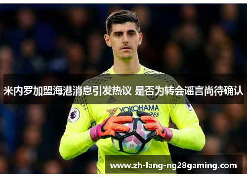 米内罗加盟海港消息引发热议 是否为转会谣言尚待确认 米内罗加盟海港消息引发热议 是否为转会谣言尚待确认