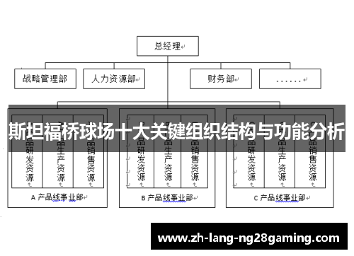 斯坦福桥球场十大关键组织结构与功能分析
