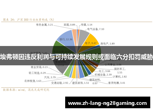 埃弗顿因违反利润与可持续发展规则或面临六分扣罚威胁