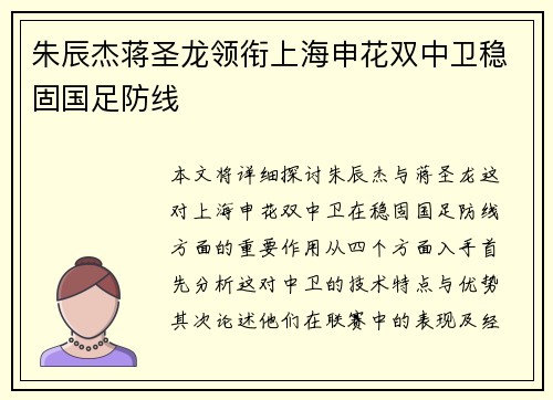 朱辰杰蒋圣龙领衔上海申花双中卫稳固国足防线